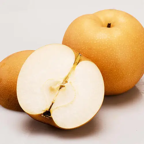 
hot sale fresh brown pear white pear with good quality 