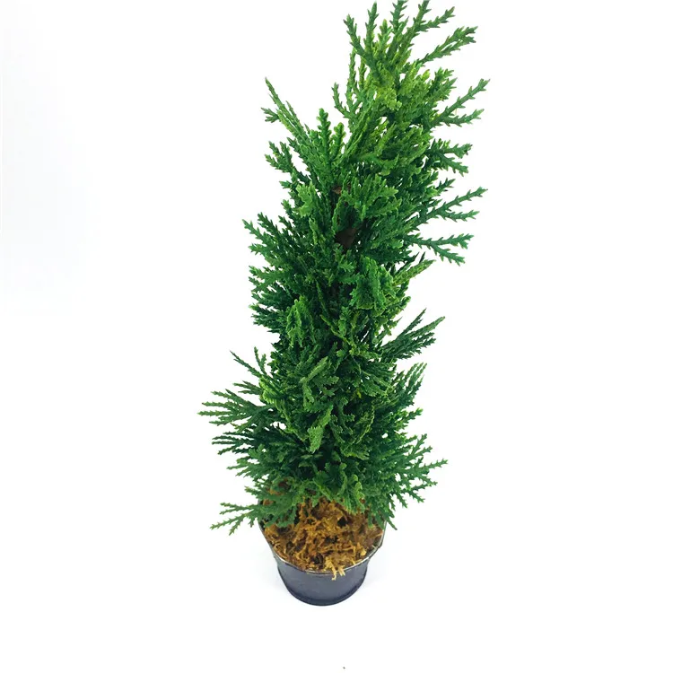 Cypress бонсай наружное пластиковое искусственное зеленое дерево в горшке