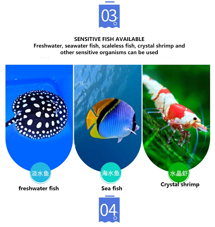 Baiyinmei No.1 fish medicine is specially used to treat all kinds of ornamental fish