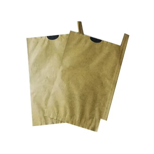 High quality waterproof mango growing protection paper bag