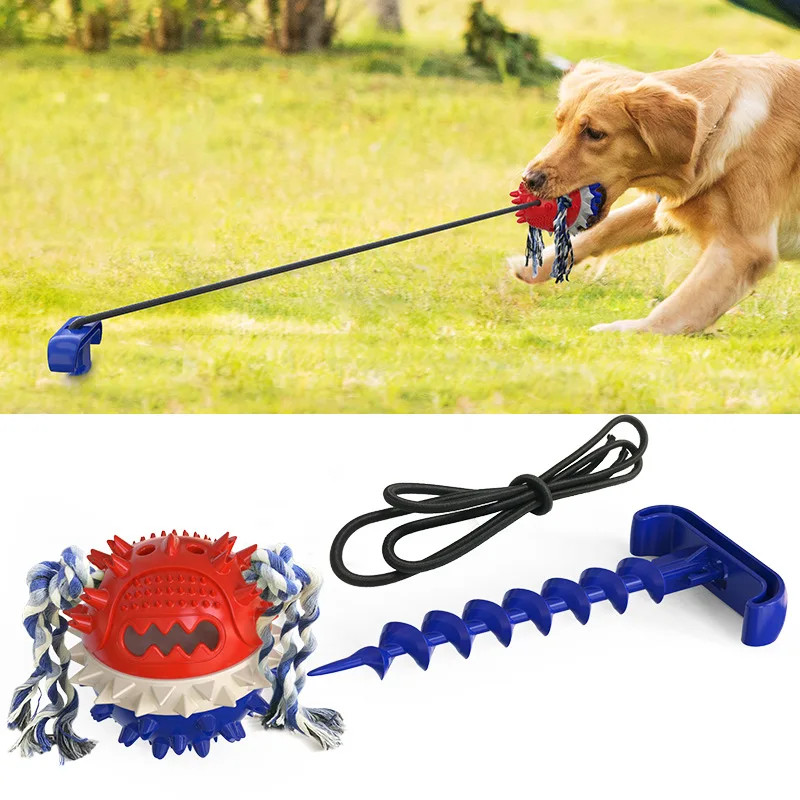 Amazon Best Sale Bite Resistant Color Training Pile Dog Chew Toy Toothbrush Silicone Teeth Clean chew toys for dogs