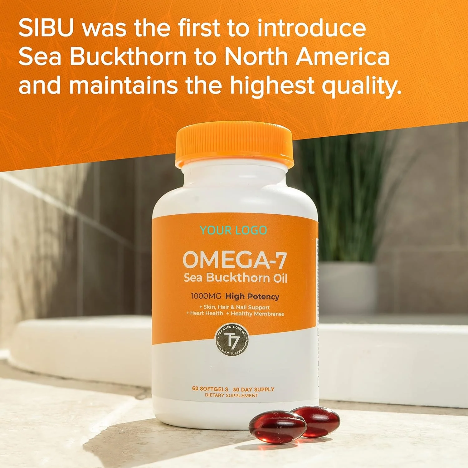 Professional Supplier Omega-7 Softgels, Premium Organic Himalayan Sea Buckthorn Oil OEM