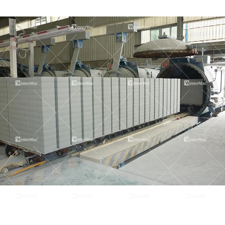 Semi-Automatic dy aac bricks plant cost Used in Lightweight Aerated Concrete AAC brick with Competitive