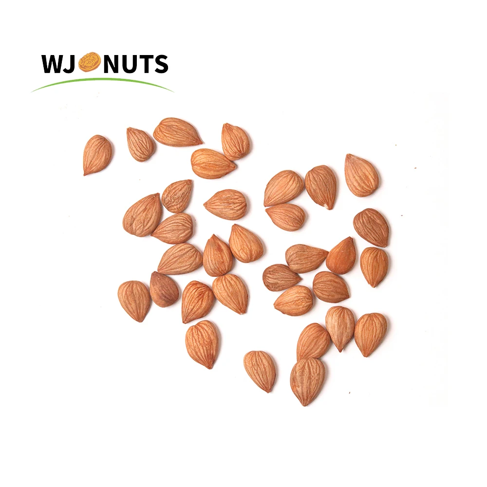 2021 new wholesale California almond badam almond nuts