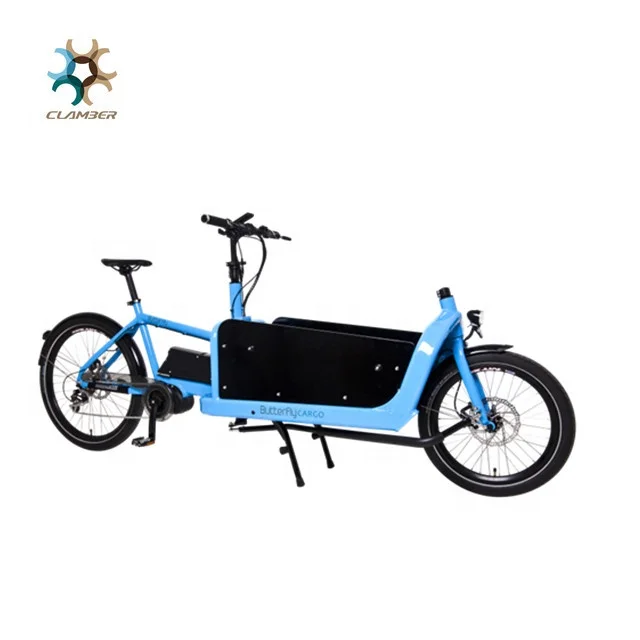 Luxury 2 Wheel Electric Cargo Bike Electric Bicycle With Front Box