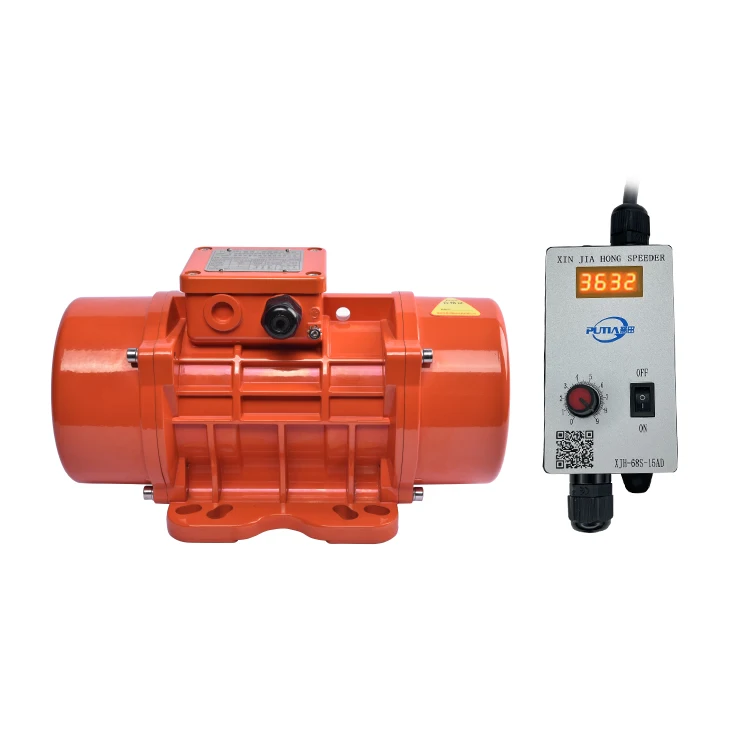 RS 775 double sector head 12v 24v dc vibrator motor for Massager Equipment with Large vibration