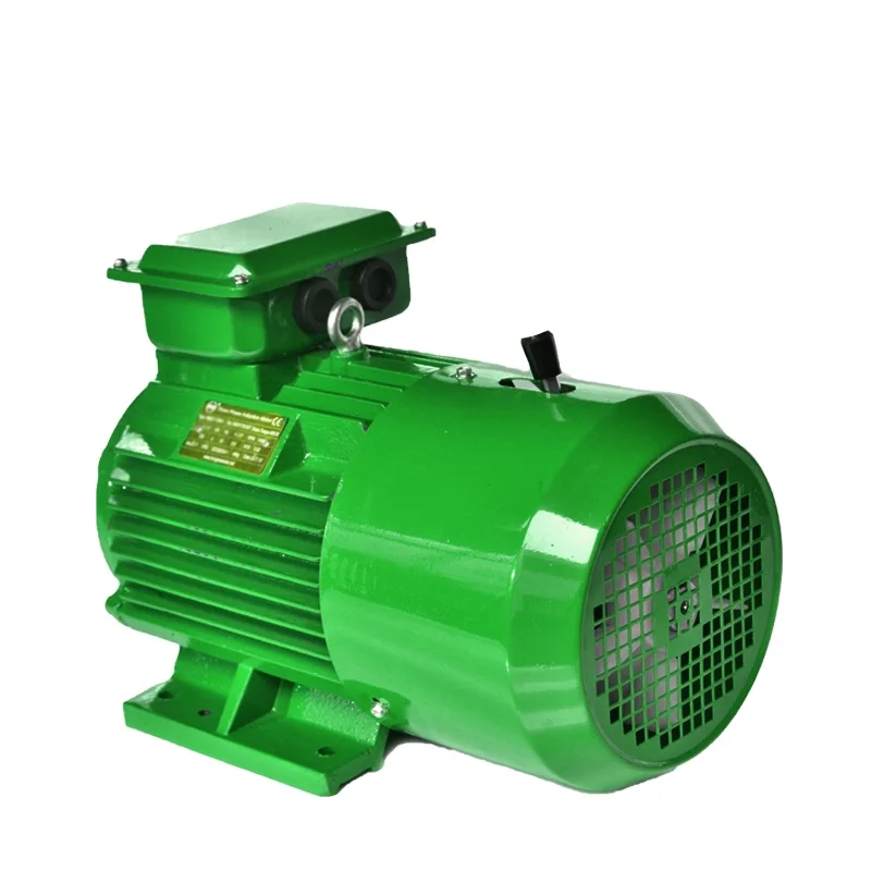 Electromagnetic Brake AC 220V 380V Induction Electric Motor