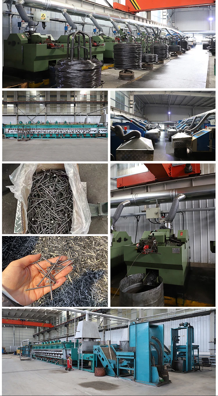 steel common wire nails