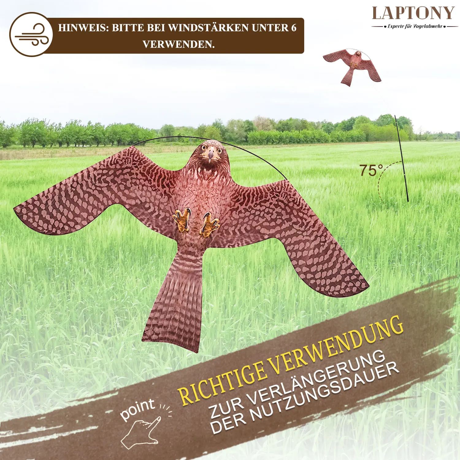 Qiao Liang Scary bird Animal shape Eagle Flight Scarer Chinese kite bird repellent kite birds repellent for farm
