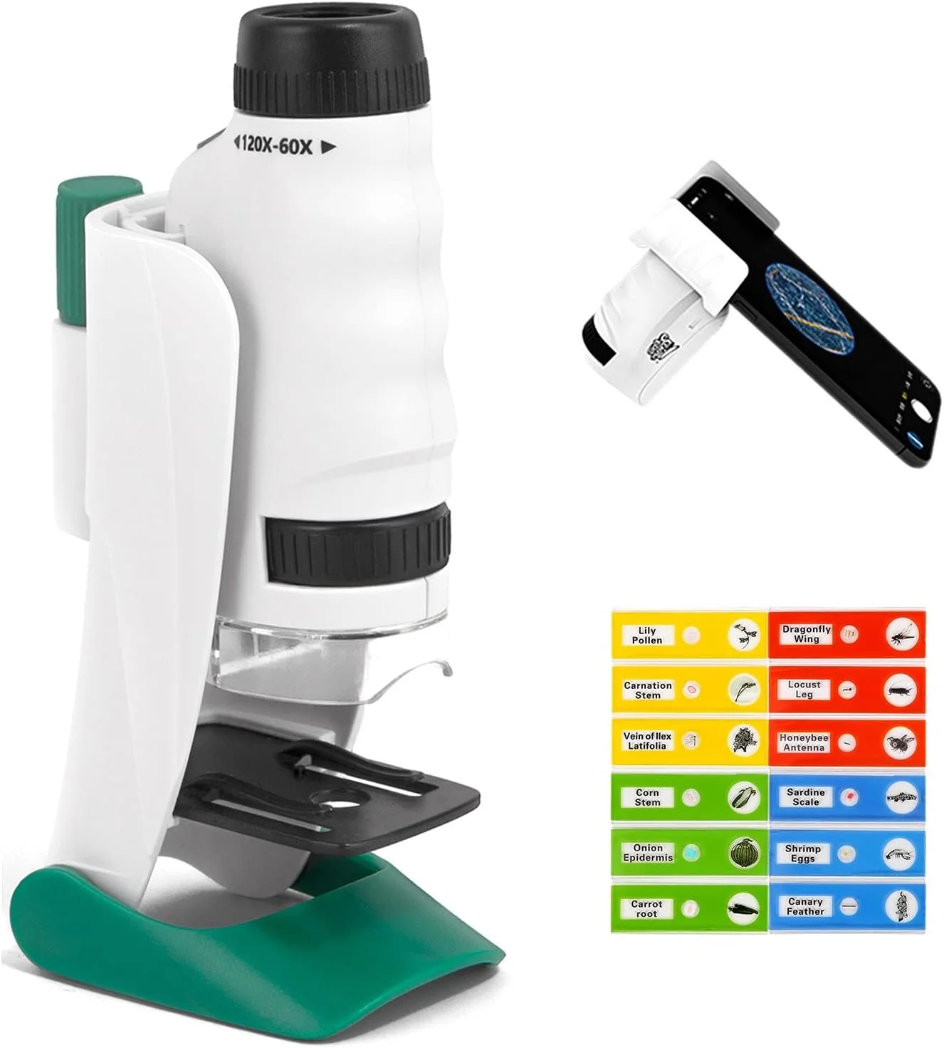 High Quality Darwin Portable Scientific Microscope for Kids