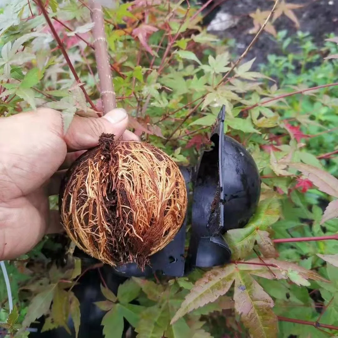 Factory Price Plant Root Ball Reusable High Pressure Propagation Ball Box Plant Root Growing Rooting Ball
