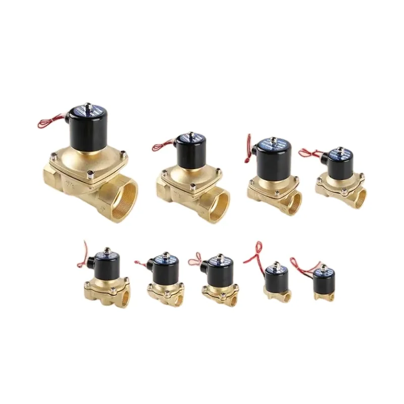 Copper Coil Brass Water Valve Withstand Pressure 0-1.0Mpa Indoor Use Normally Closed Brass Solenoid Water Valve