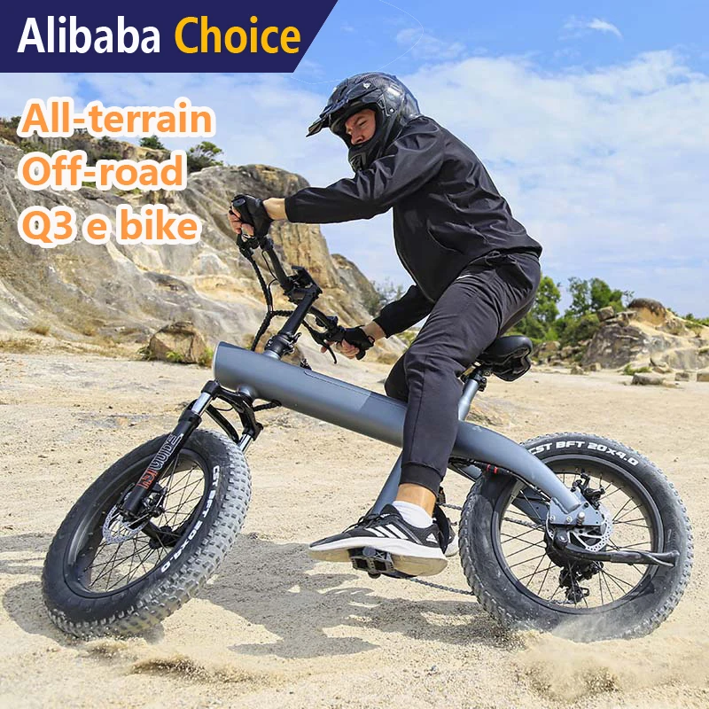 EU warehouse 750w long range step through ladies torque sensor Q3 fat tire ebike  hybrid long range  dirt bike
