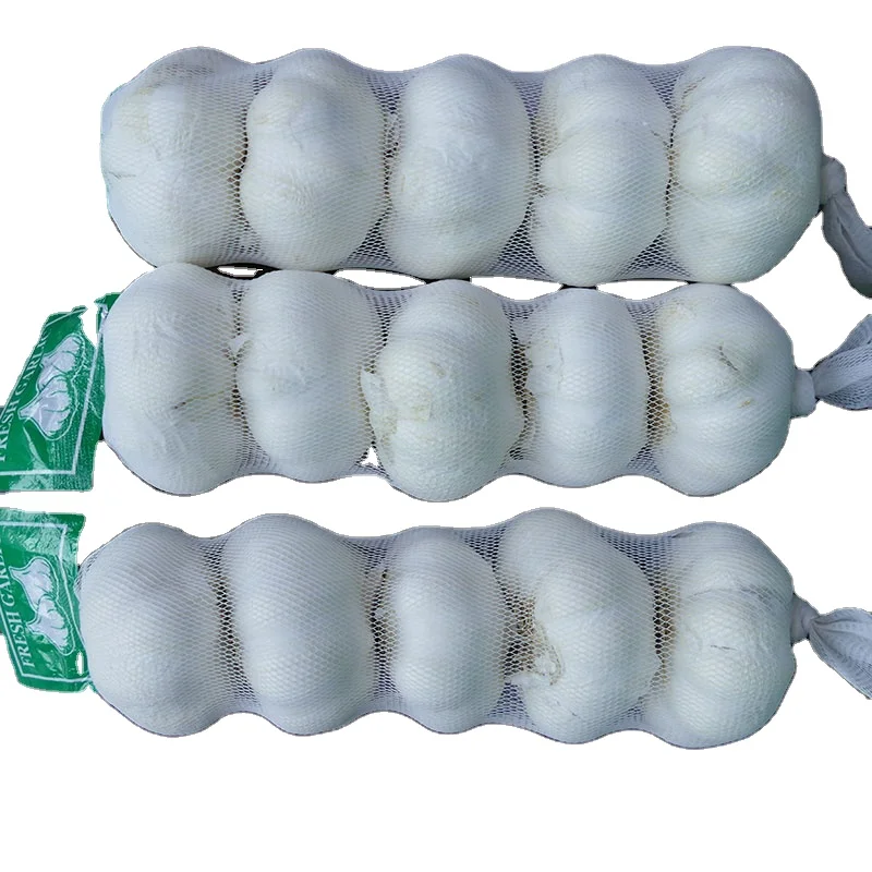 2020 New Crop High Quality China Chinese Best Wholesale White Fresh Garlic for Sale