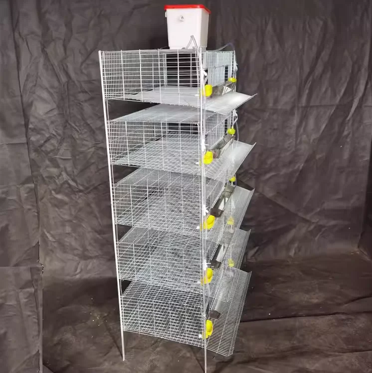 H type 6 tiers 288 capacity quail cage with drinking feeding system wire mesh cage galvanized quail cage