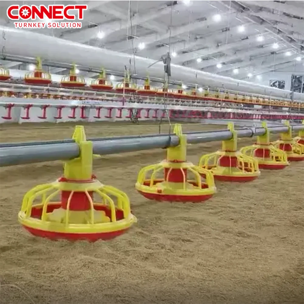 50000 Poultry Complete Set Broilers Shed Automatic House Feeding Husbandry Plant Equipment Chicken Farm Line System Machine