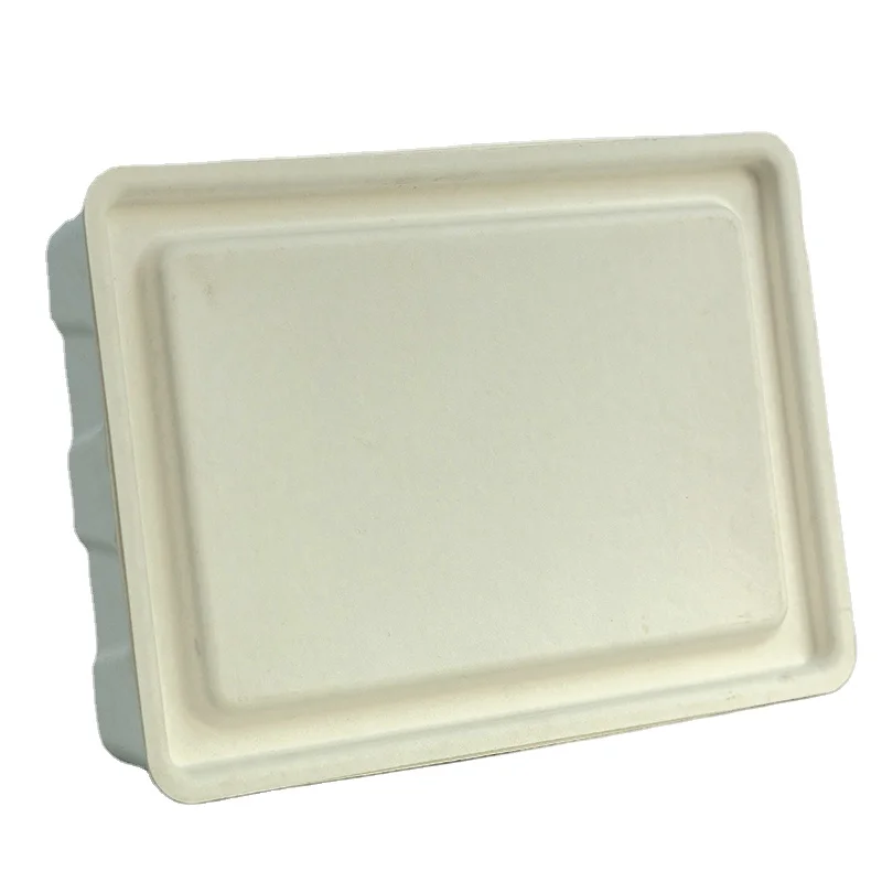 Diffuser Skin Care Products Paper Box Packaging Molded Pulp Burger