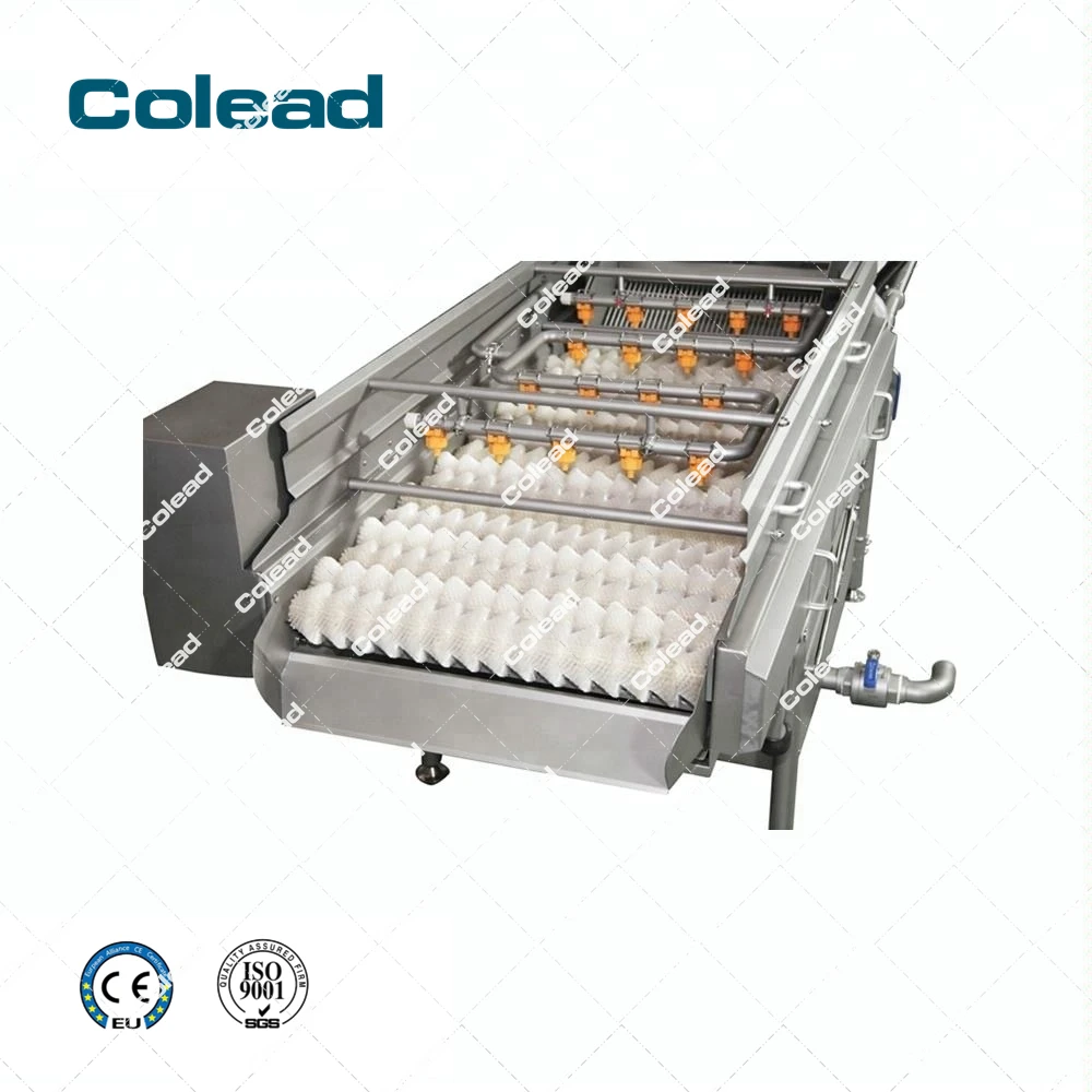 Industrial Spray and Brush Washing Machine for fruit