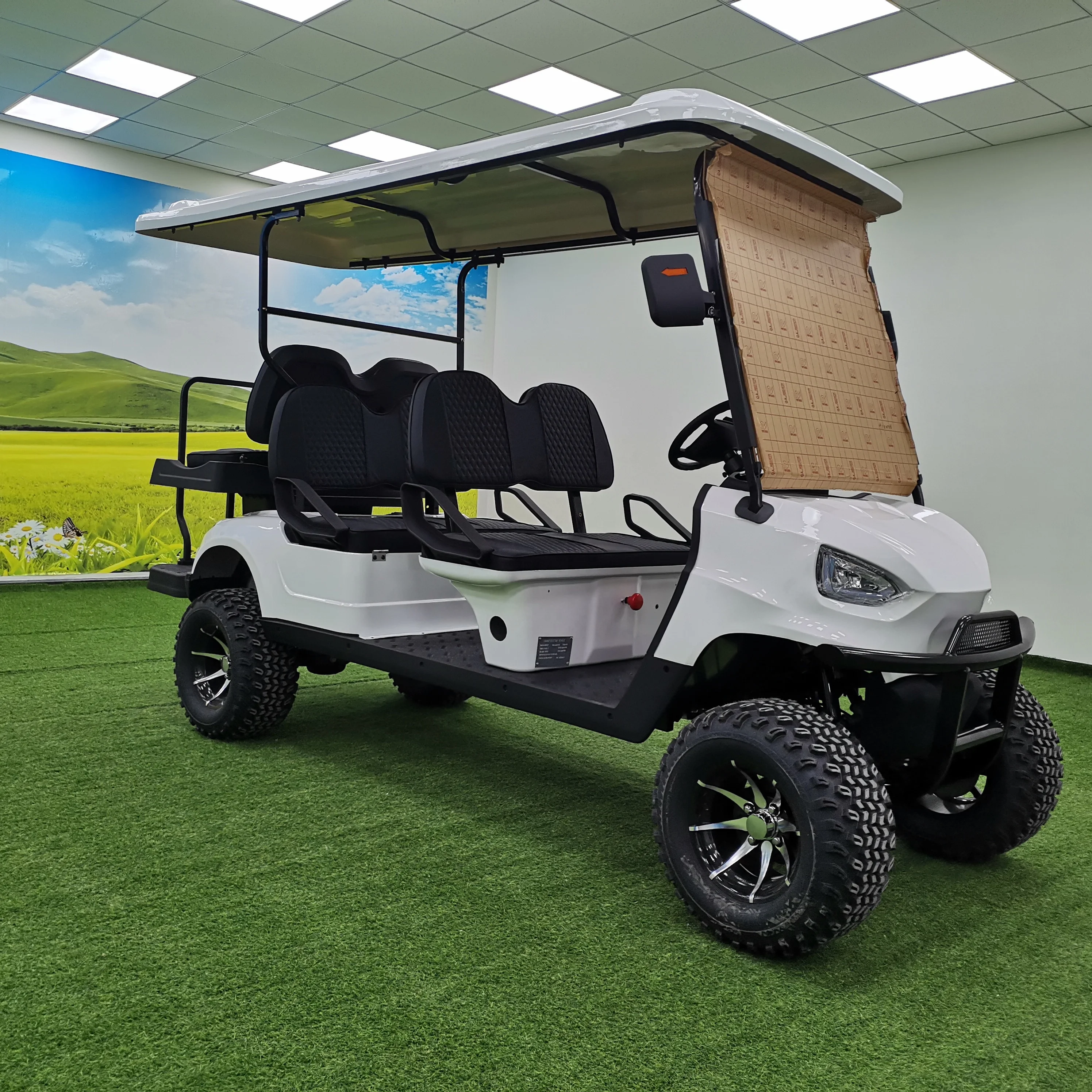 china 6 Person 48v electric lifted street legal New Electric golf cart   luxury  golf buggy  club car