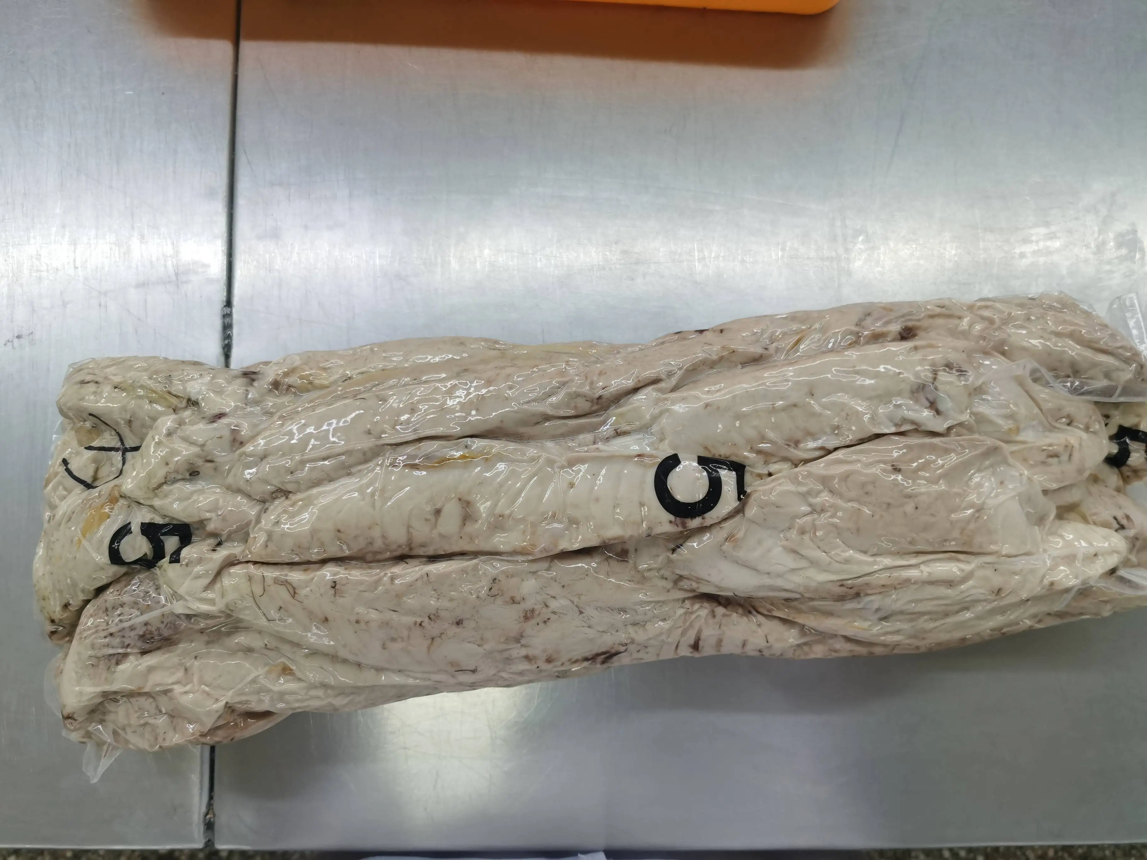 Высокое качество BQF Frozen IQF Fresh Bonito Tuna рыбный кошелек легкий свежий охлажденный желтоперый тунец оптом
