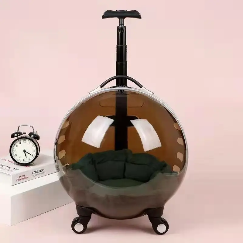 Cat Bag Case Out Portable Transparent Luggage Large Capacity Summer Space Suite 1 order