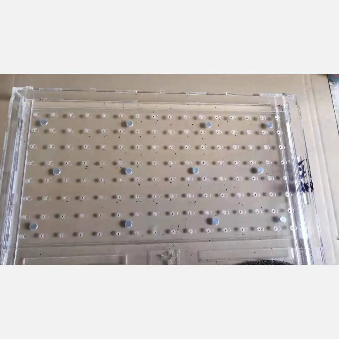Seeder High Quality Plastic Nursery germination Trays PET microgreen trays