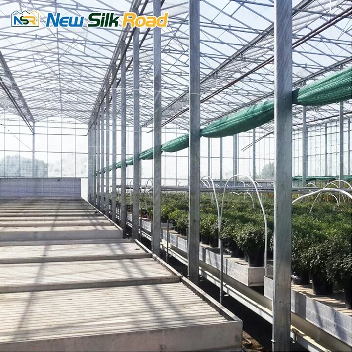 multi-span venlo glass polycarbonate greenhouse mini greenhouse glass greenhouse for agro