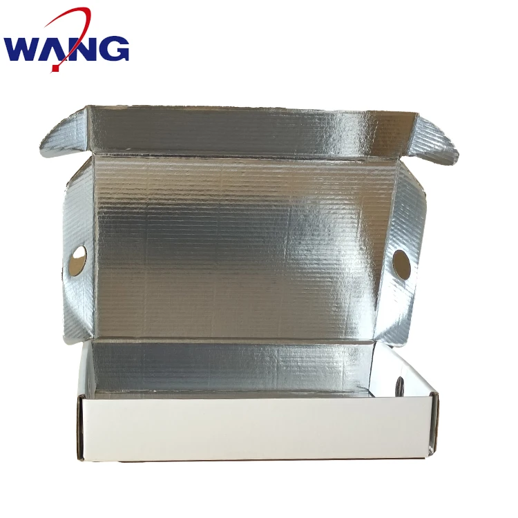 insulation box for meat fish transport container /ice cream carton frozen seafood insulated shipping carton