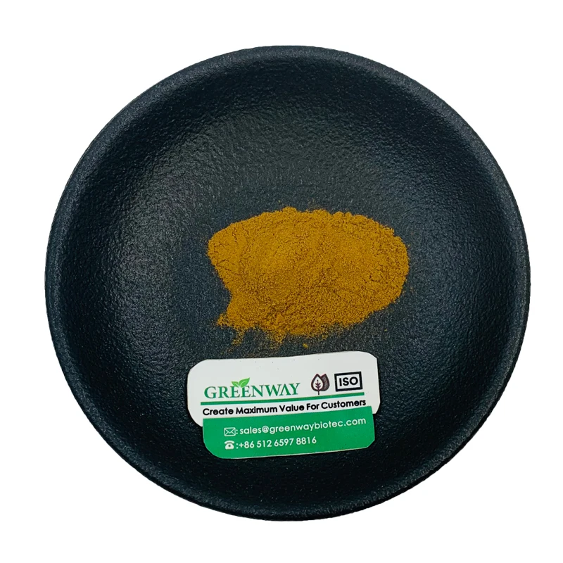 Competitive Price Hydrastis Canadensis Extract Golden Seal Root Extract Powder