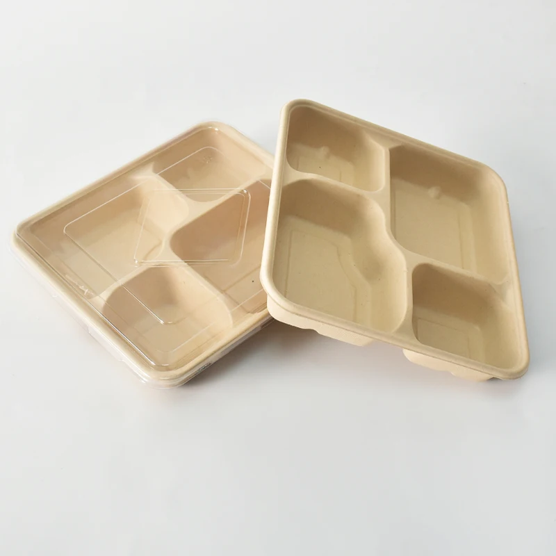 Disposable Paper Sugarcane  Food  Containers Ecofriendly Brownies Heat Seal Take  Away  Lunch Box