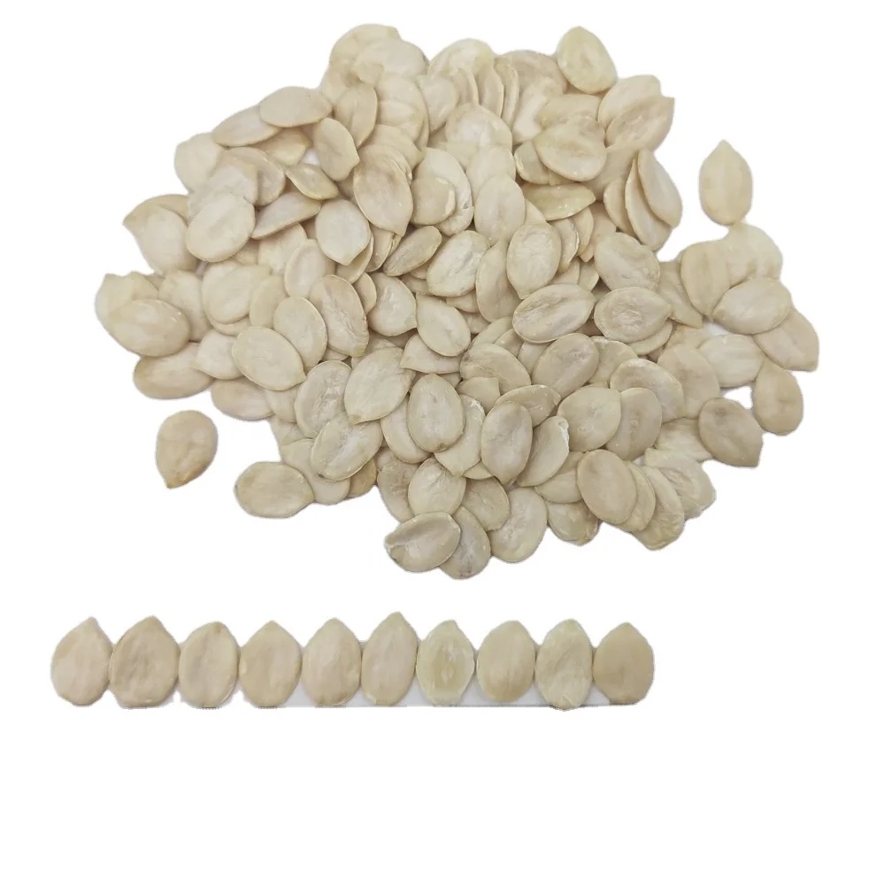 China Raw 6 cm Watermelon Black Melon Seeds Kernels