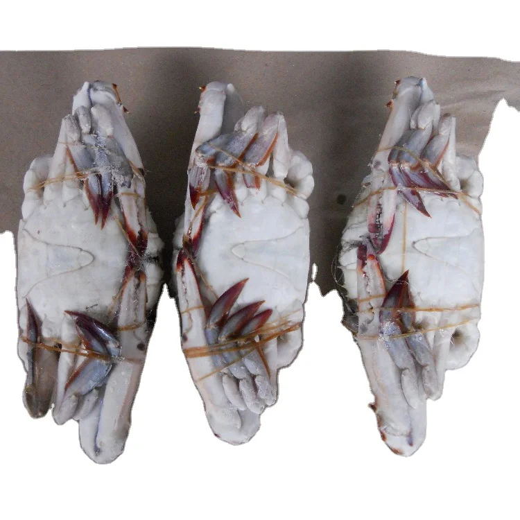 healthy big size many other species exports crab fat Frozen Crab raw material block in stock
