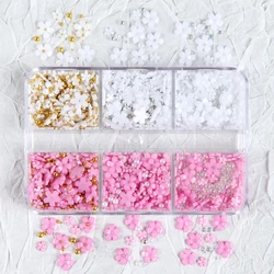 Exquisite Five Petal Flowers 6 Grid Boxed Size Mixed Resin Flower Nail Art Jewelry