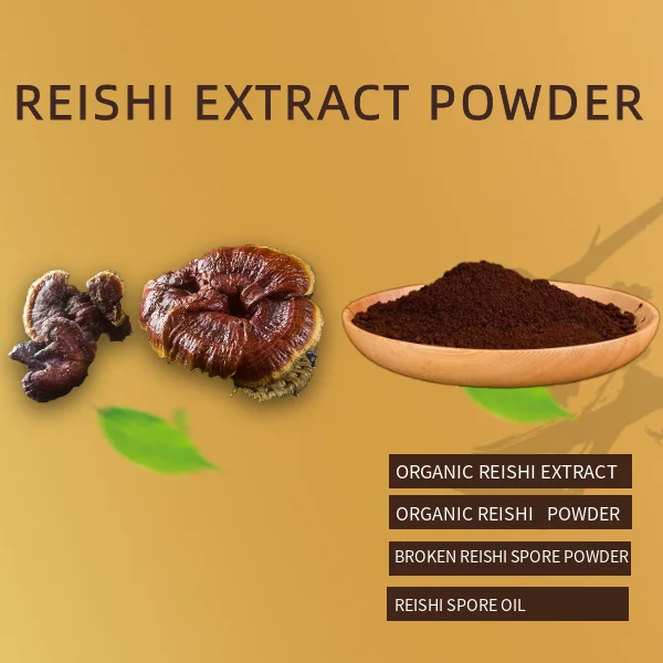 Hot Selling Red Reishi Mushroom Extract Powder