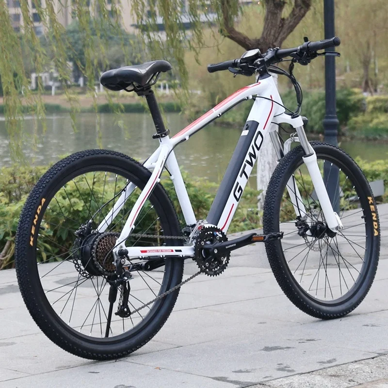 Super Light Stylish 48V 350W Electric Mountainbike Chopper Bike Electric Sports Bike With Removable 48V LG Battery 26 27.5 inch