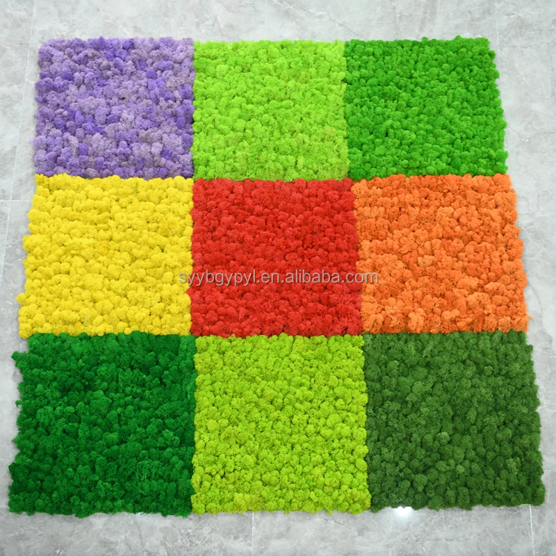 DIY Preserved Stabilized Natural Reindeer Moss decorative 3d 50cm yellowish-green Artificial Moss Wall Panel