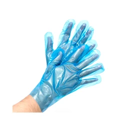 Wholesale Price Disposal Pe Tpe Ldpe Hands Protection Plastic Gloves Size Customized Household Gloves