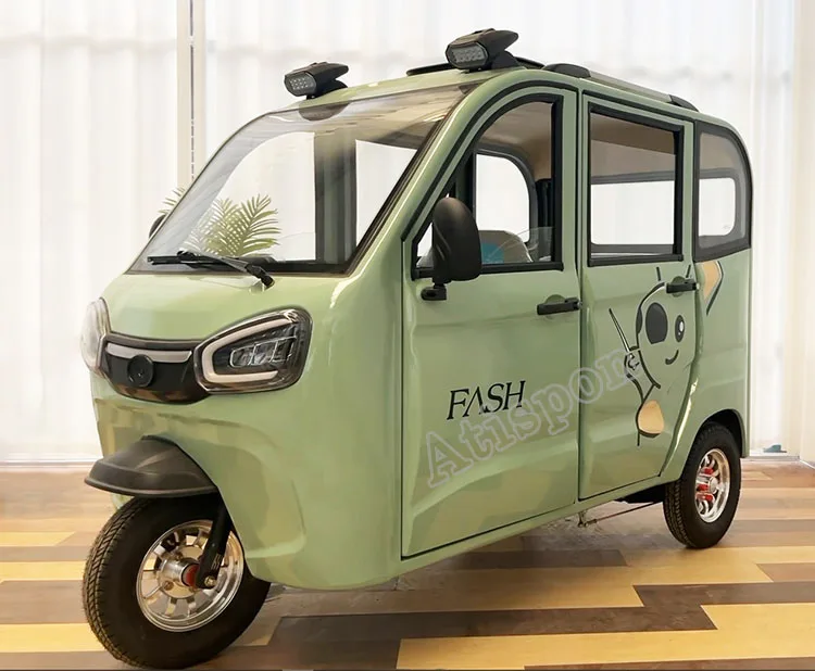 Body Electric Tricycle Adults 60V Closed Tricycle Motorcycle Rickshaw Fully Enclosed Handicapped Mini Electric