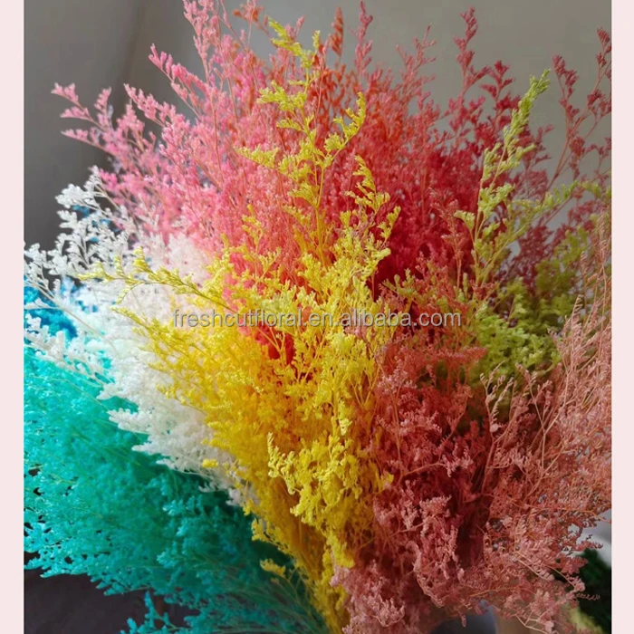 Hot selling preserved Limonium flower dried Baby Bearth flowers forget me Not dried preserved Misty Limonium Flowers