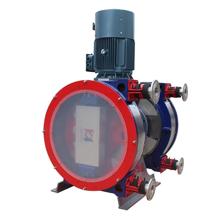 TWO HEAD Professional Good Quality Best price industrial hose pump