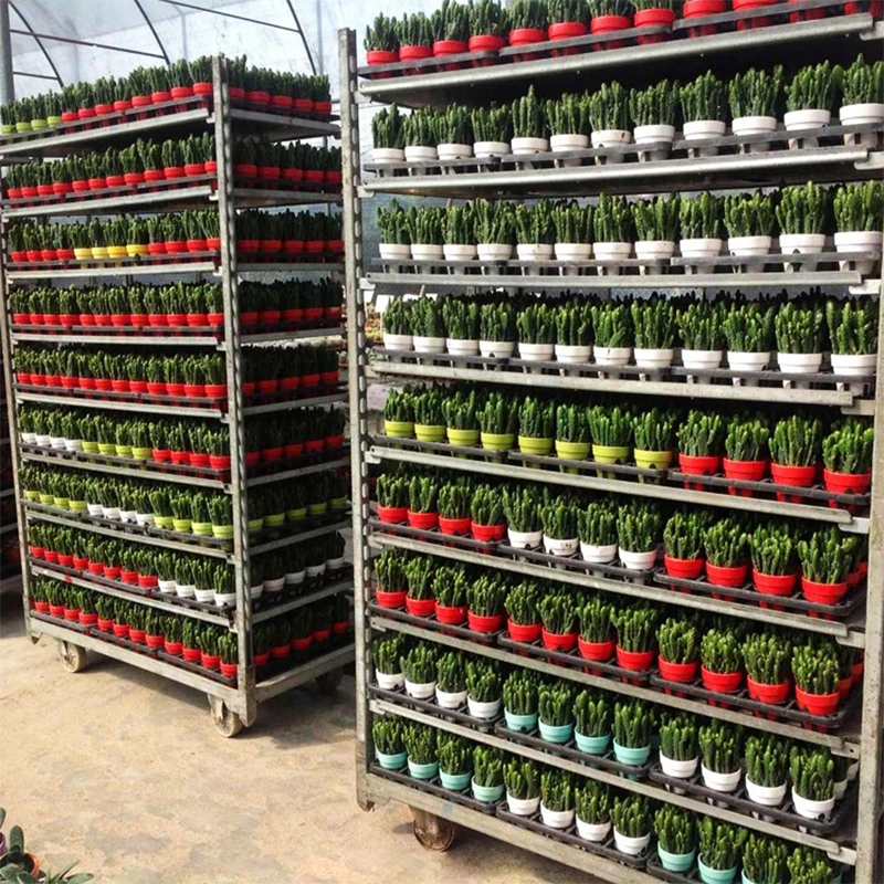 Heavy duty 4 shelves danish trolley pallet rack flower transportation nursery trolley cart