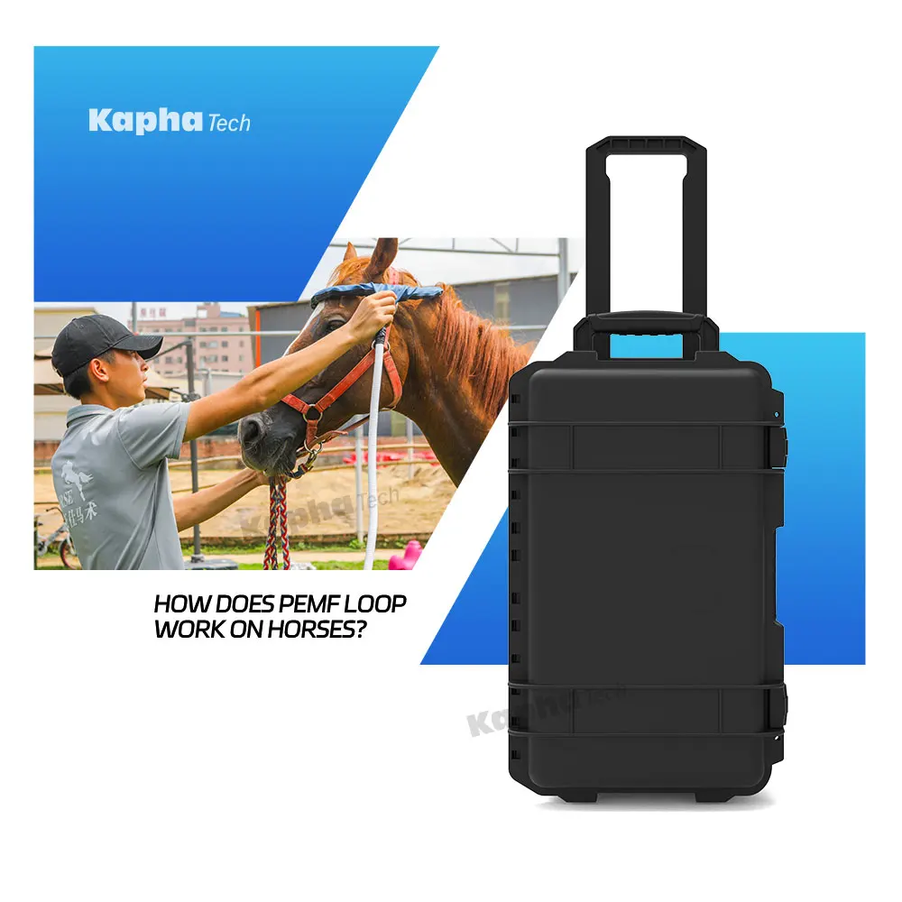 Высокоинтенсивная портативная новейшая магнитотерапия PMST петля Pemf терапия для конского колена реабилитационное оборудование