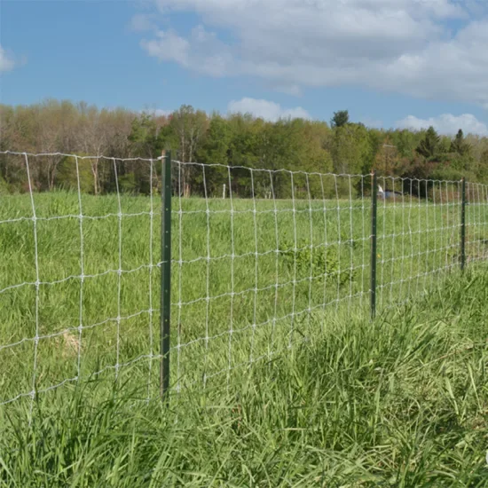 Hot dipped galvanized horse sheep farm grassland fixed knot fence grassland field fencing on farm