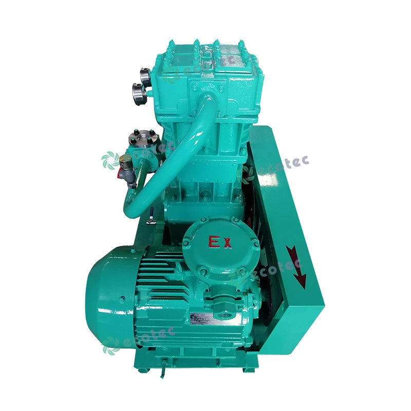 Ecotec ZW Series LPG Gas Compressor Hydrogen Compressor GAS LPG Compressor