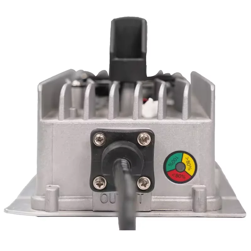 DDP DAP 500W 600W 25A 20A 15A 10A 8A 7A lead acid lithium lifepo4 battery Charger 12V 24V 36V 48v 60V Forklift Chargers