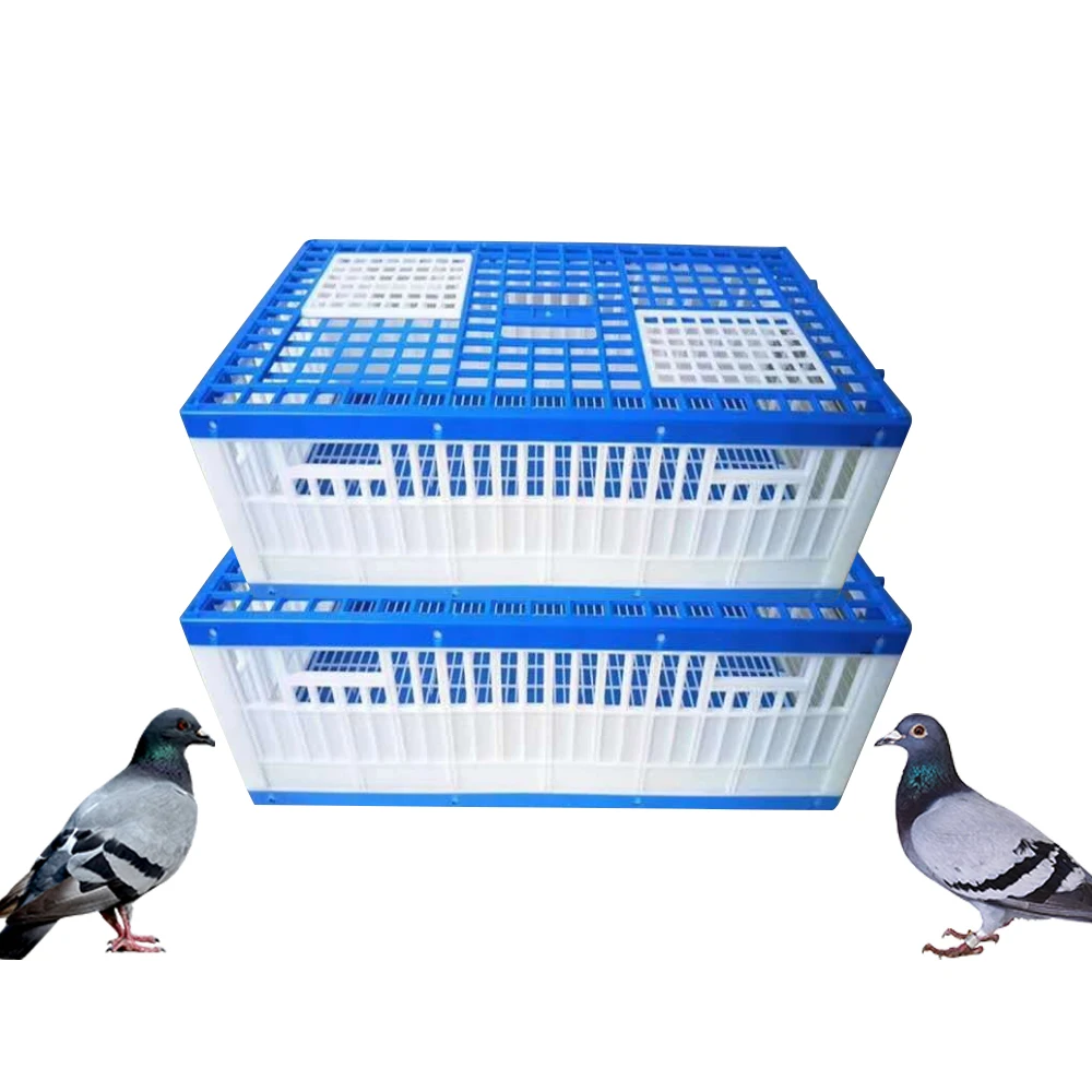 Birds Carrier Crate Three Doors Pigeon Cage Plastic Transportation Cage For Pigeon Bird Shipping Cage
