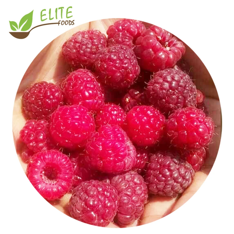 IQF Frozen Raspberries IQF Frozen Whole Red Raspberry Frozen Red Raspberries Professional Supplier
