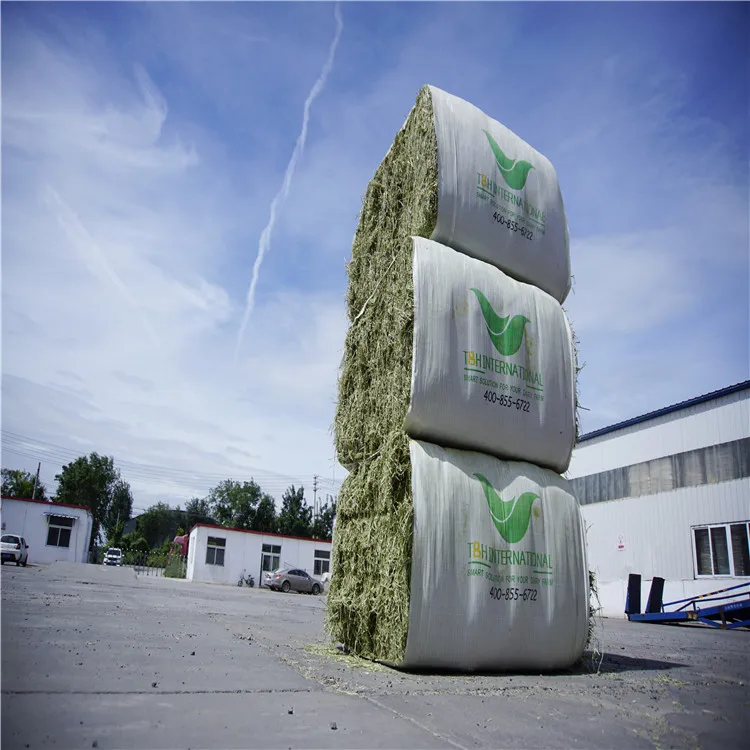
American alfalfa hay with competitive Price 