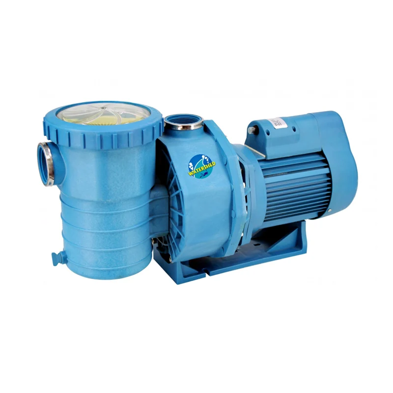 Wholesale Factory Price Swimming Pool Water Pump with Sand Filter Efficient and Affordable