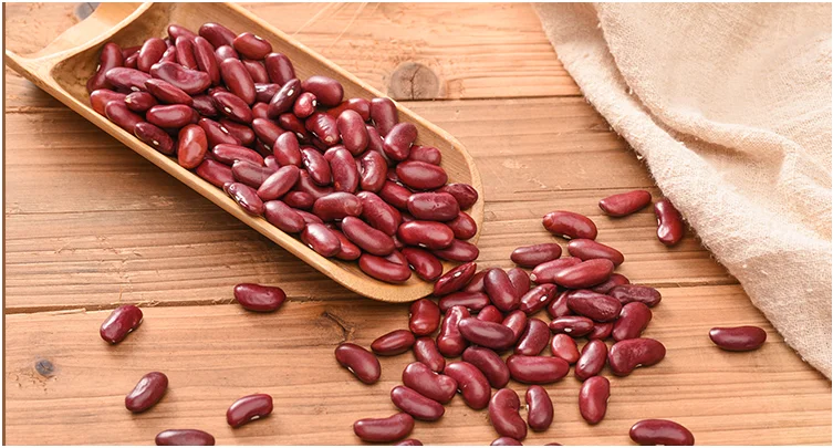 High Nutritious Red Beans Cheap British Red Kidney Beans for Sale